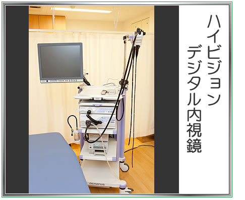 �n�C�r�W�����f�W�^��������