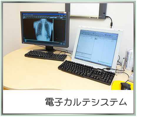 �d�q�J���e�V�X�e��