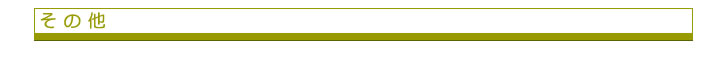 その他