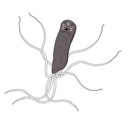 �s������