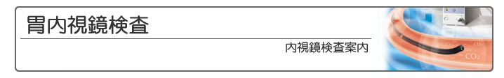 胃内視鏡検査案内