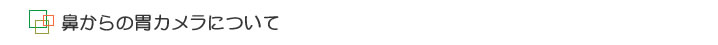 鼻からの胃カメラについて
